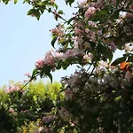 Dans Un Ecrin De Verdure