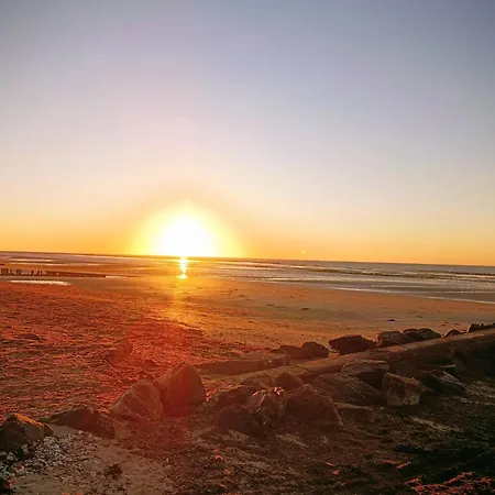 Dans Un Ecrin De Verdure