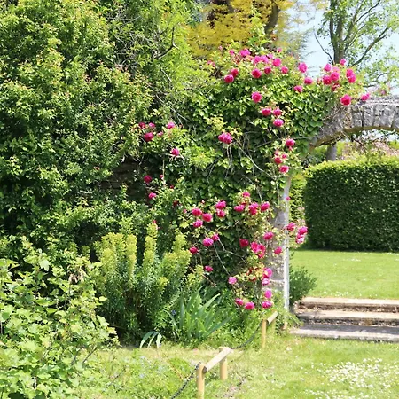 Dans Un Ecrin De Verdure Daire